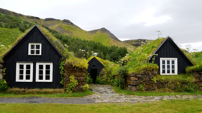 Green Roofing